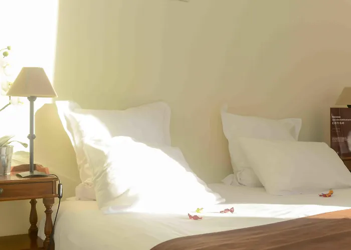 Cerise - Le Grand De La Отель