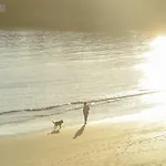 Cerise - Le Grand De La 3* Royan