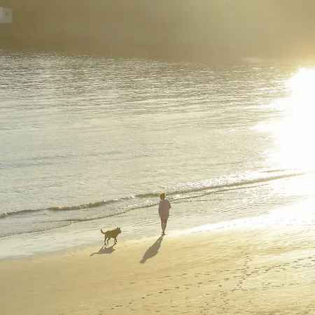 Cerise - Le Grand De La 3* Royan