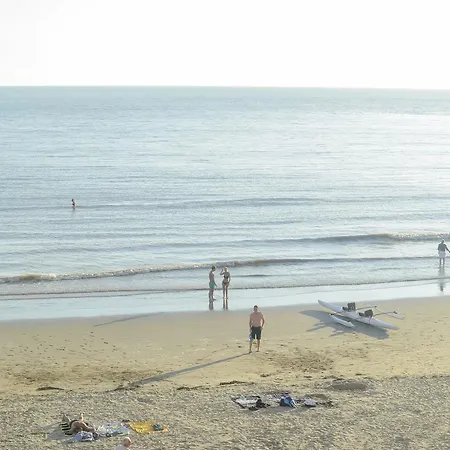 Cerise - Le Grand De La Royan