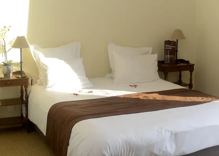 Cerise - Le Grand De La Royan