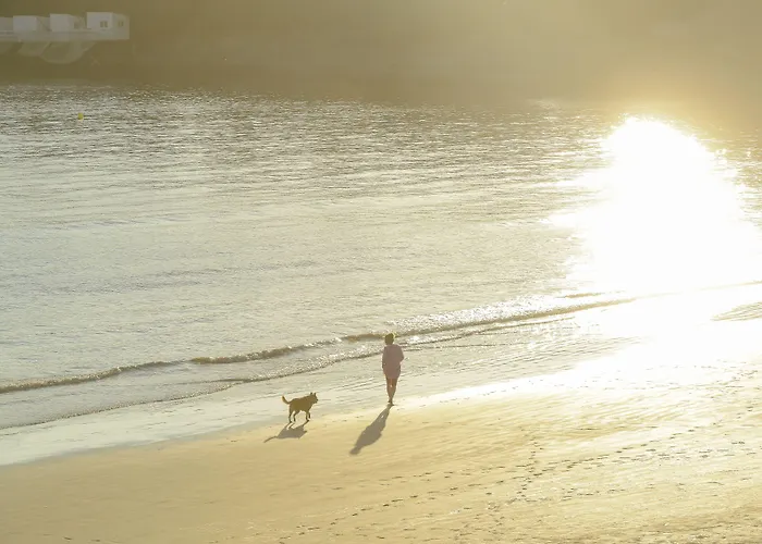 Cerise - Le Grand De La 3* رويا